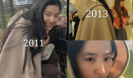 爆料刘亦菲耍大牌视频在线观看,现场画面令人震惊